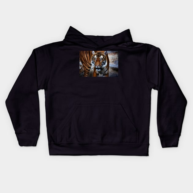 siberian tiger, tiger head Kids Hoodie by hottehue